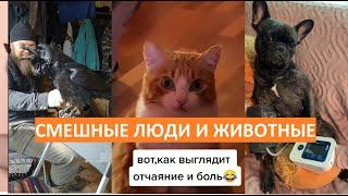 САМЫЕ СМЕШНЫЕ ЛЮДИ И ЖИВОТНЫЕ | Весёлая Утка