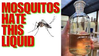 Mosquitoes Hate This Liquid | Use THIS And Never Get Another BITE