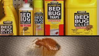 Harris Bed Bug Killer general overview of products 1920x1080