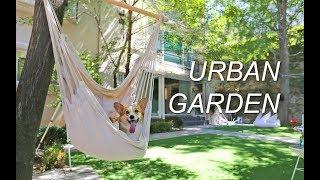 Let's hang out in urban garden 웰시코기 하레사샤 유엔빌리지 투닷 놀다왔어요 - SAMCORGI