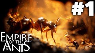 EMPIRE OF THE ANTS Gameplay Walkthrough Part 1 - ANT ARMY