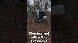 Clearing RAW Land With A MINI Excavator! #cowboys #texas #rawland #clearingland