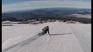 Resi Stiegler GS Freeski 2017 Timberline