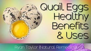 Quail Eggs: Benefits & Uses