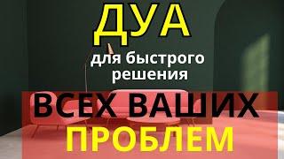 Дуа - для решения всех ваших проблем. Эфир 24/7
