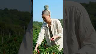 #开悟人生 #修行即修心#佛法人生#佛语禅心#菩提树下悟菩提#菩提梵唱#禅意生活