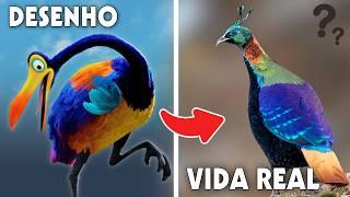 AVES de desenhos que Existem na Vida Real!