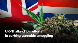 UK-Thailand join efforts in curbing cannabis smuggling