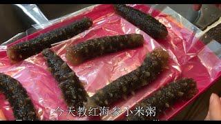 阿拉斯加红海参小米粥—【Maybel 话你知】Sea cucumber Millet porridge