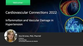 Inflammation and Vascular Damage in Hypertension