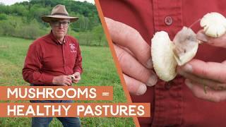 Mushrooms are a sign of good biology & health in your pastures | Joel Salatin