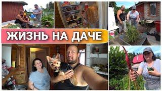 VLOG! Жизнь на даче как в деревне//Семейный канал//Простая жизнь Голдобиных//Дачные будни//Моя семья