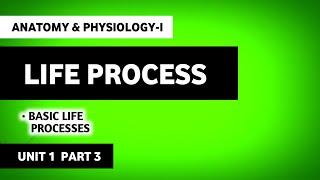 Basic Life Processes | Human Anatomy And Physiology | B Pharma First Semester | Unit 1 Part 3