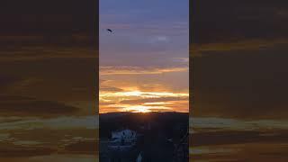 Ранок. Sunrise. Утро