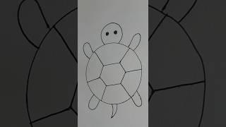 How To Draw A Tortoise 