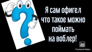 Лучший воблер. Что можно поймать на воблер ?