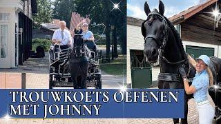 JOHNNY VOOR DE TROUWKOETS!!! | PaardenpraatTV