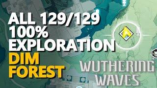 All Chests Dim Forest 100% Exploration Wuthering Waves