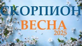 СКОРПИОН  ВЕСНА 2025 таро прогноз/гороскоп на март 2025/ апрель 2025/ май 2025/  “открытые двери”