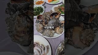 시골까지 찾아가는 자연산만 파는 횟집