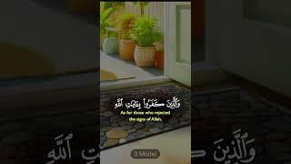 Allah is the Creator of all things #creator #Allah#shorts