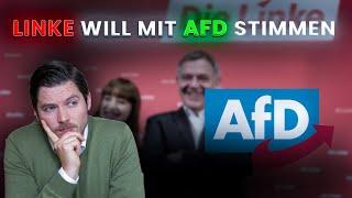 LINKE will mit AfD abstimmen? Heuchelei und Doppelmoral!