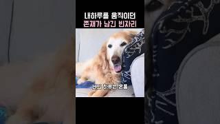 내하루를 움직이던 존재가 남긴 빈자리