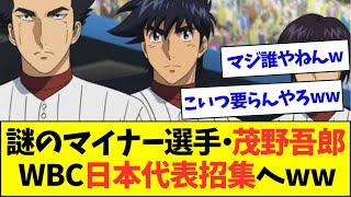 【悲報】WBC日本代表に無名マイナーリーガーがコネ選出か・・・【なんJなんG反応】【2ch5ch】