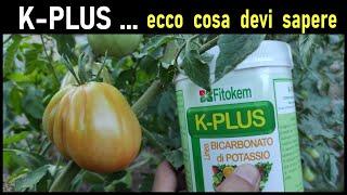 K PLUS, il bicarbonato di potassio purissimo