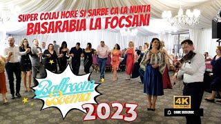 NOU 2023 Formatia Basarabia Colaj Hore si Sarbe Ca La Nunta 