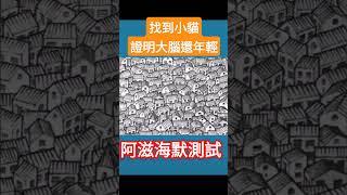 挑戰!你大腦現在幾歲 #考眼力 #阿滋海默症 #阿滋海默測試 #巴式量表 #老人測試 #退化 #找出不同之处 #找不同 #找茬游戏