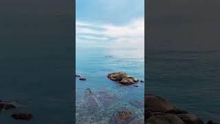 #sorts 바다 뷰 카페 [Gangneung, South Korea] 커피바다