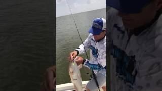 Fishing for Redfish using Slammin" Chicken