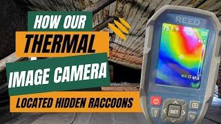 Pool cabana Inspection with thermal imaging camera (2/4) | Wildlife Pro