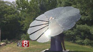 Solar sunflower helps one farm grow lavender plants