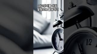 집고양이를 아침 알람으로 활용하기. 확실히 깨워주는 고양이 알람. Shorts