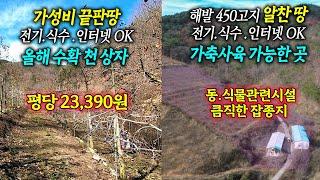 경북땅김소장[매번821번] 평당2만3천원 /전기.식수.인터넷 모두가능