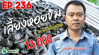 เพาะเลี้ยงหอยขม สร้างรายได้เสริม 13,000 บาท/เดือน l เกษตรกรไทย สร้างรายได้ Ep236