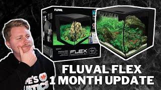 Fluval Flex 1 Month Update - Still The Best All-In-One Aquarium Kit?