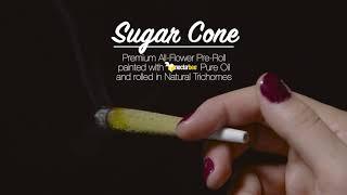 NEW Sugar Cone Pre-Roll | How to Consume