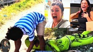 " SCARY PRANK FAILS 2025 - HILARIOUS REACTIONS & EPIC MOMENTS! "#251