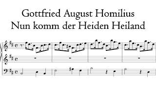 Homilius - Nun komm der Heiden Heiland - Vater/Müller orgel, Amsterdam, Sweelinq