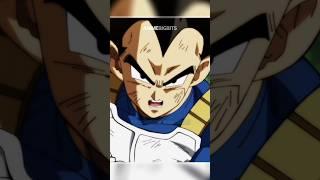 Vegeta and Goku Never Back Down!