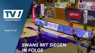 Swans Gmunden feiern erneut Heimsieg