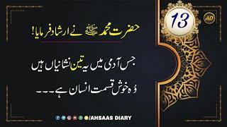 Hazrat Muhammad saw Hadees in Urdu - Spiritual Quotes of Prophet - Hadith in Urdu - Hadees e Nabvi