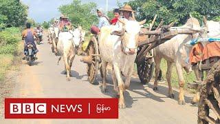 ပုလဲတိုက်ပွဲကြောင့် လူသောင်းနဲ့ချီ စစ်ဘေးရှောင် - ဘီဘီစီ မြန်မာတီဗီ - ၁၈ နို၀င်ဘာ ၂၀၂၄