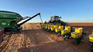 Last Field of Peanuts