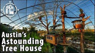 Multi-Level Tree House Inspired by Swiss Family Robinson