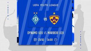 ДИНАМО U19  - МАРИБОР U19 | UEFA Youth League | 23.10.2024