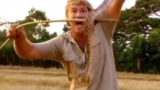 Steve Irwin - Crocodile Hunter - Die Schlangeninsel (1/4)